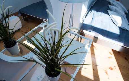 2 habitaciones, escritorio y espacio para trabajar con laptop
