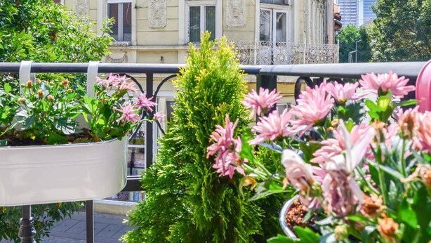 Un balcon orné de plantes et de fleurs en pot, une balustrade et un bâtiment en arrière-plan.