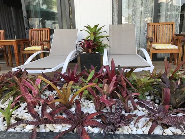 A seating area with two lounge chairs and a potted plant.