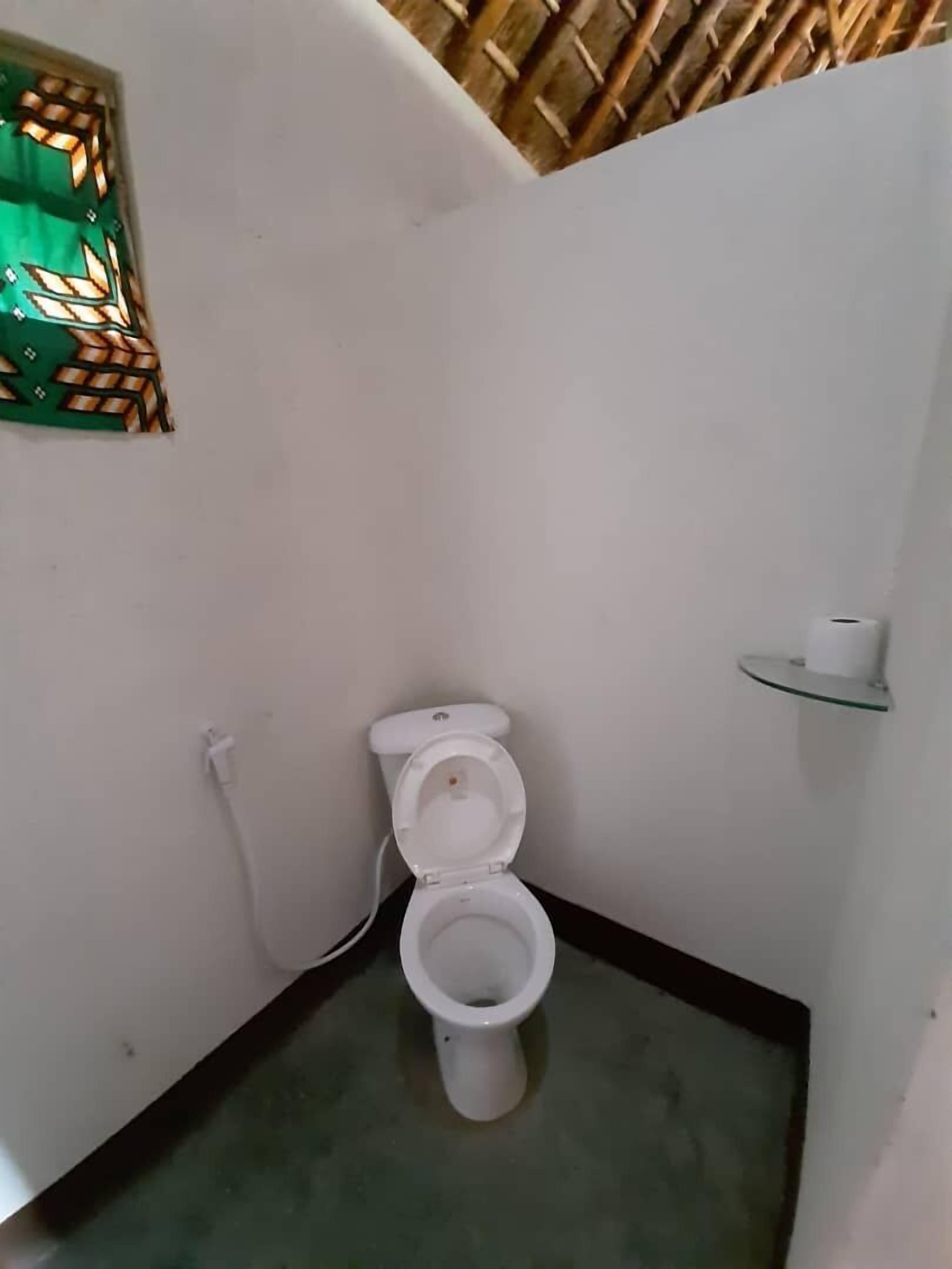 A small, narrow bathroom with a toilet, a green decorative wall panel, and a glass shelf with a roll of toilet paper.