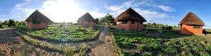 Una hilera de casas tradicionales con techo de paja y un camino de tierra entre ellas.