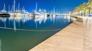 Una marina de noche con varios yates amarrados, superficie de agua tranquila que refleja las embarcaciones y un paseo pavimentado bordeado de palmeras.