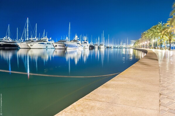 Port esportiu