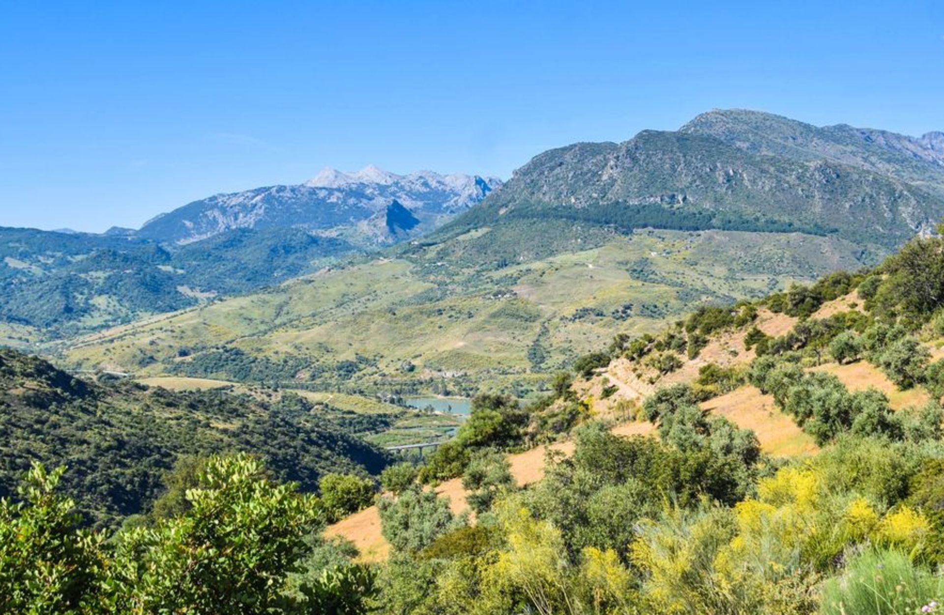 Un paisaje montañoso con un valle y un lago.