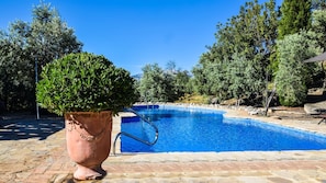 A swimming pool with a clear blue water, surrounded by trees and a large terracotta pot.