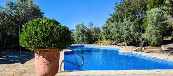 Maisons Rurales Los Algarrobales- Casa Paraíso 5