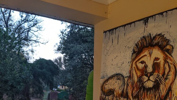 Blackout curtains, bed sheets - African Jungles campsites and Lodges (Moshi)