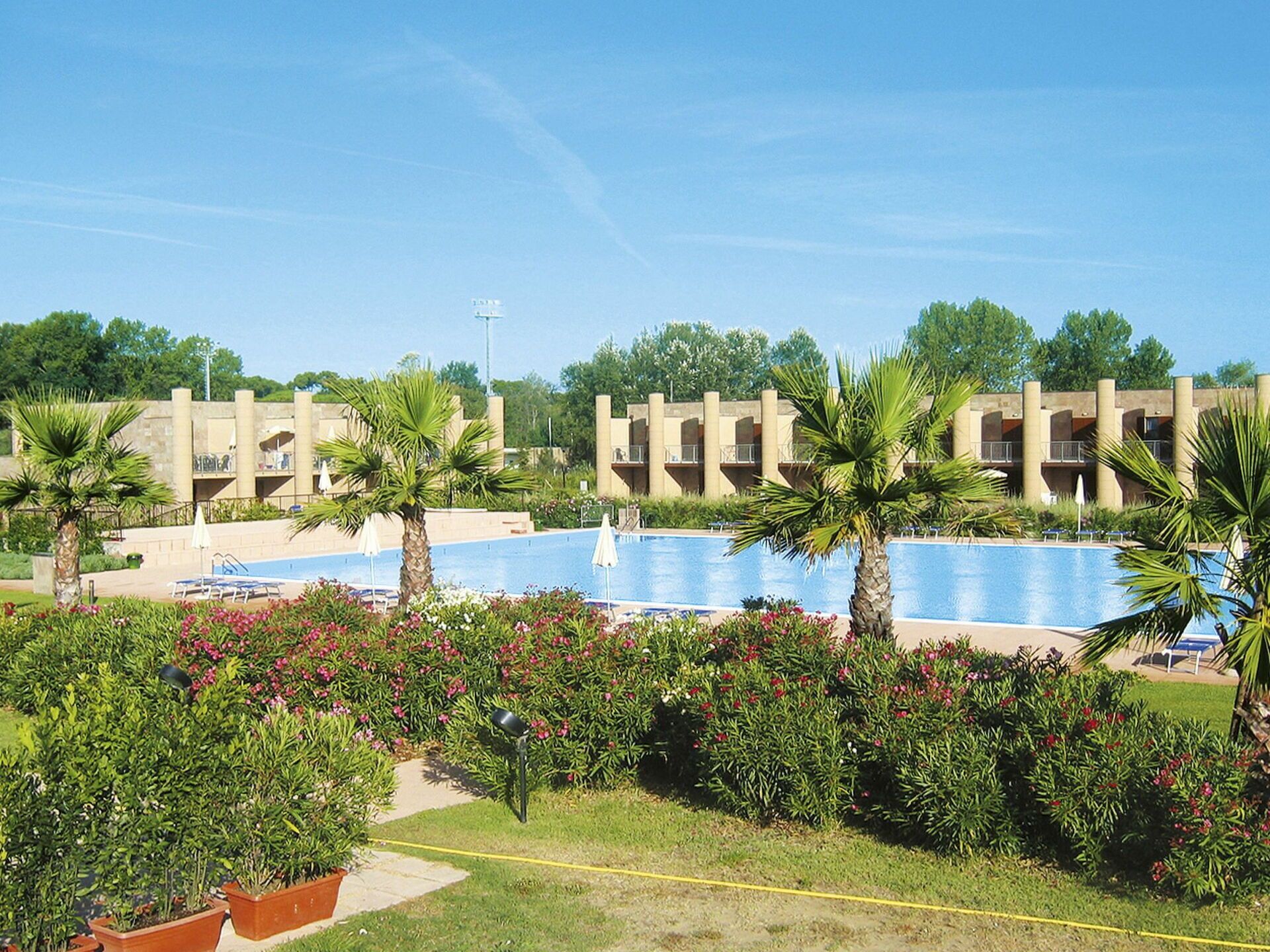 Une piscine entourée de palmiers, un ciel dégagé et, au loin, un bâtiment doté de balcons.