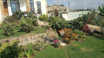 Habitación individual, 1 cama individual | Terraza o patio