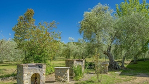 Un olivier avec des constructions en pierre, peut-être utilisées pour la production d’huile d’olive, sous un ciel bleu dégagé.