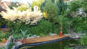 A wooden deck over a pond with a stone border, surrounded by various plants and trees. - Apartment for families with children, with internet access and only 800 m from the ski lift (Eibenstock)