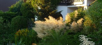 Apartment for families with children, with internet access and only 800 m from the ski lift