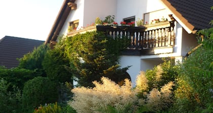 Apartment for families with children, with internet access and only 800 m from the ski lift