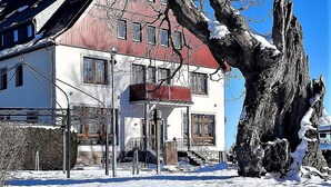 A two-story house with a sloped roof, a chimney, and a large tree in front. - Apartment for families with children, with internet access and only 800 m from the ski lift (Eibenstock)