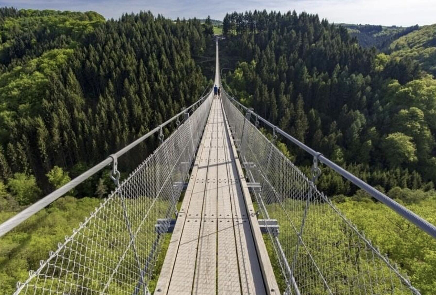 Een hangbrug met een metalen hekwerk en een houten looppad, omringd door dicht bos.