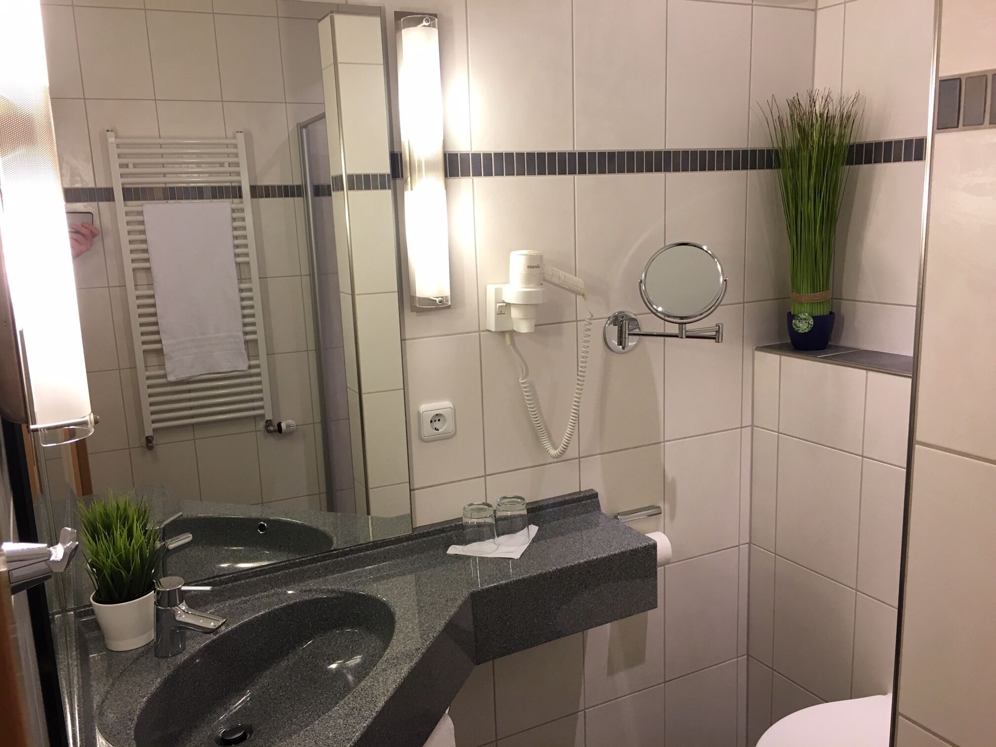 A bathroom with a black granite sink, a white toilet, a towel rack, a mirror, a hairdryer, and a potted plant.