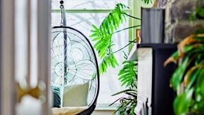 A cozy living room with a hanging chair, a fireplace, and various potted plants. - Short North/Downtown | Near High St | Walk to Convention Center | 5,800+ Reviews (Columbus)