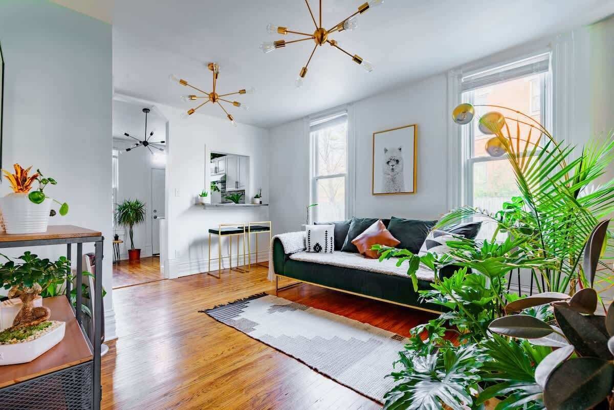 Smart TV, Netflix, Hulu y servicios de streaming 