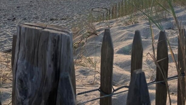 A beach with a wooden fence, calm water, and a boat in the distance. - Appt COCOONING, Nice Terrace + BIKES 🤩PROXIMITY OF 2 BEAUTIFUL BEACHES 🏖️et PORT (La Baule)