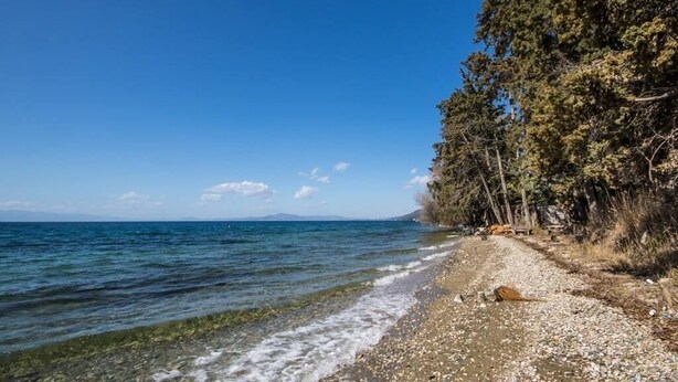 A clear view of a beach with pebbles, a calm sea, and a dense forest in the background. - Villa Helios (South Pelion)