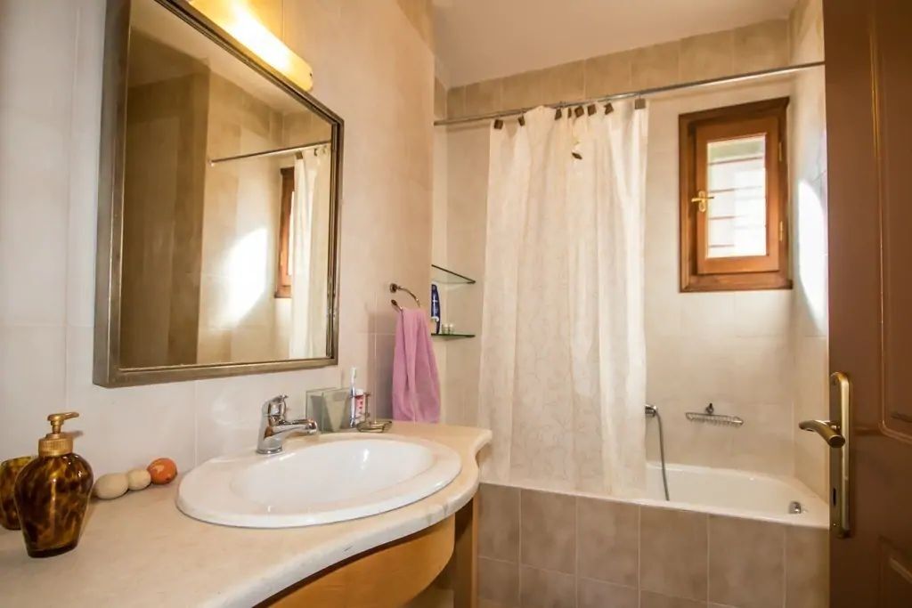 A bathroom with a sink, mirror, shower, and a window.