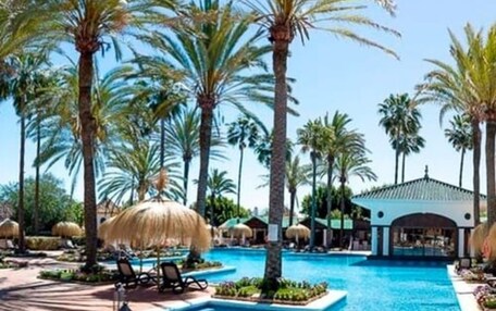 A pool area with palm trees, lounge chairs, and a building with a blue roof.