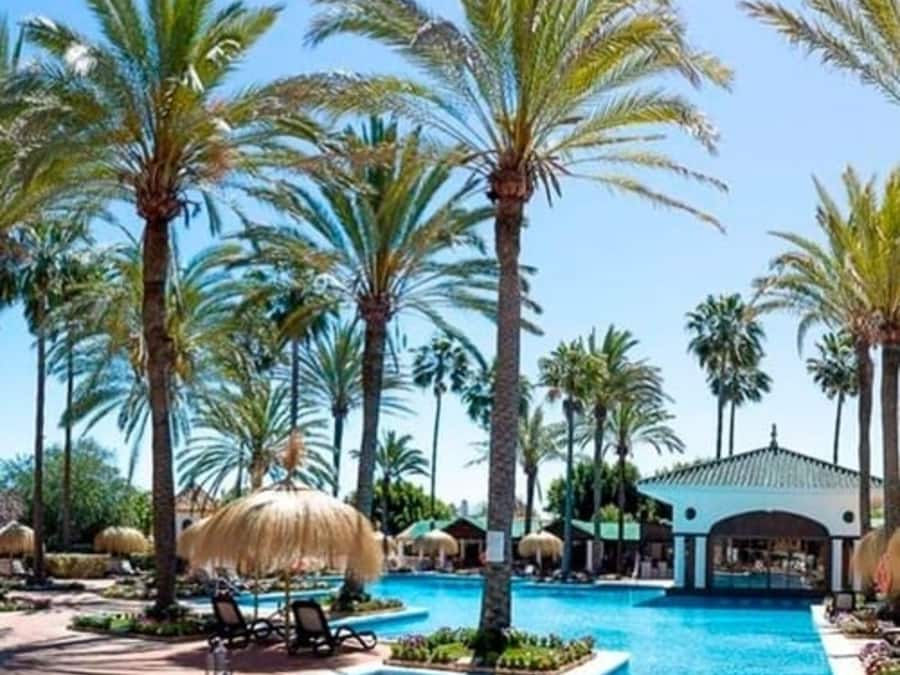 Sesongbasert utendørsbasseng, bassengparasoller og solsenger