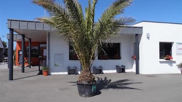 A modern building with a covered entrance, a palm tree in the foreground, and a clear blue sky.
