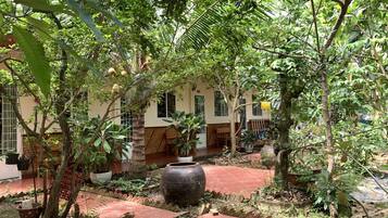 Chambre Simple Standard, 1 lit double, non-fumeurs, vue jardin | Vue de la chambre