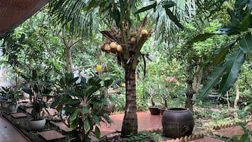 Standard Single Room, 1 Double Bed, Non Smoking, Garden View | View from room