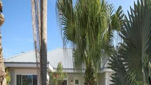 A residential property with a well-maintained lawn, a palm tree, and a house with a metal roof.