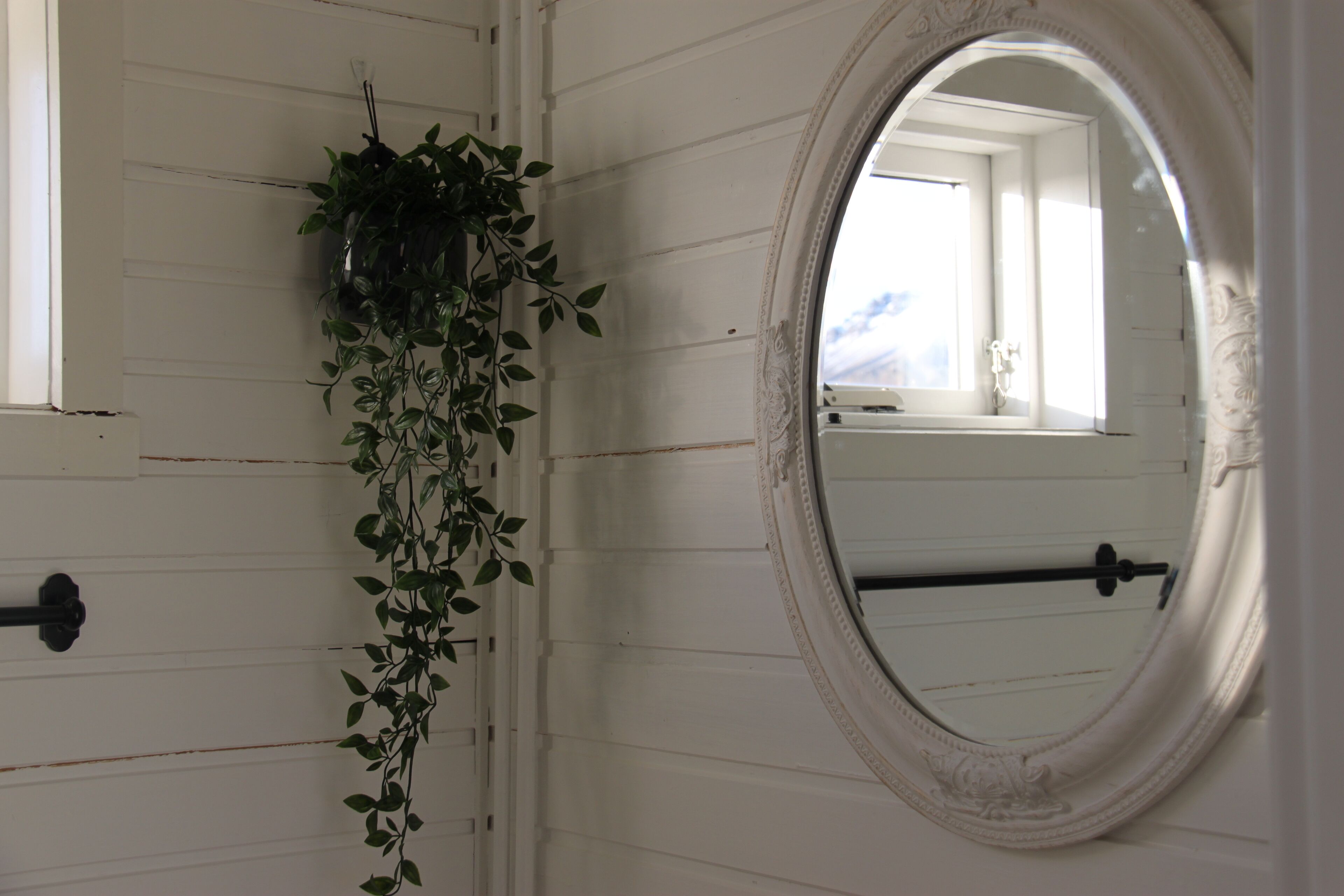 A white door with a plant hanging on the left side and a round mirror on the right.