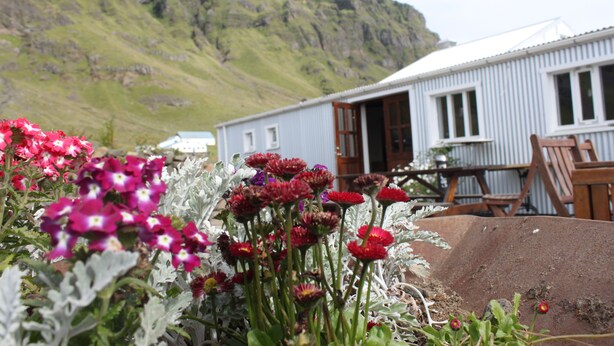 A rustic building with a white exterior and a wooden door, surrounded by vibrant flowers and a mountainous backdrop.