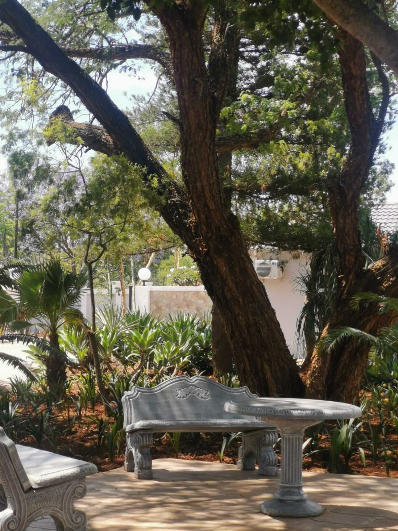 Un banc en pierre dans un jardin où poussent de grands arbres et diverses plantes.
