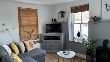 TV, fireplace, Netflix, streaming services