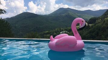 Un giubotto a forma di fenicottero rosa galleggia in una piscina con un paesaggio montuoso sullo sfondo.