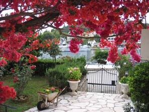 Overnatningsstedets område