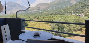 Vue depuis le balcon