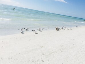 Sun loungers, beach towels
