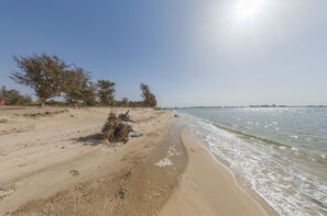 Premium Bungalow | Beach/ocean view