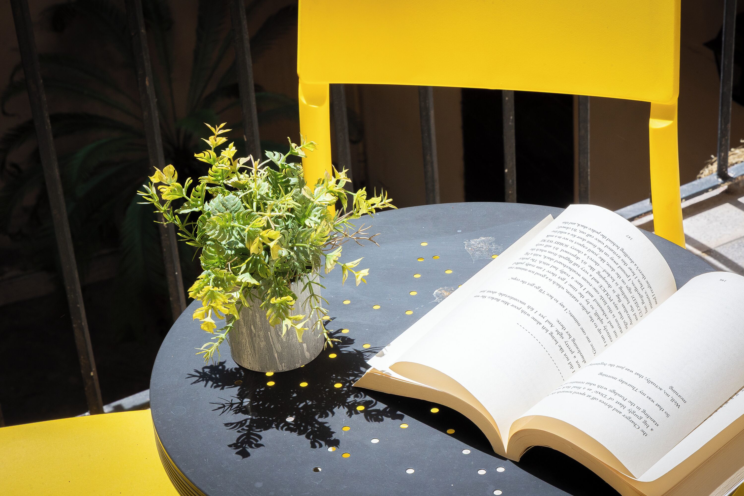 Una taula amb un llibre i una planta en test.