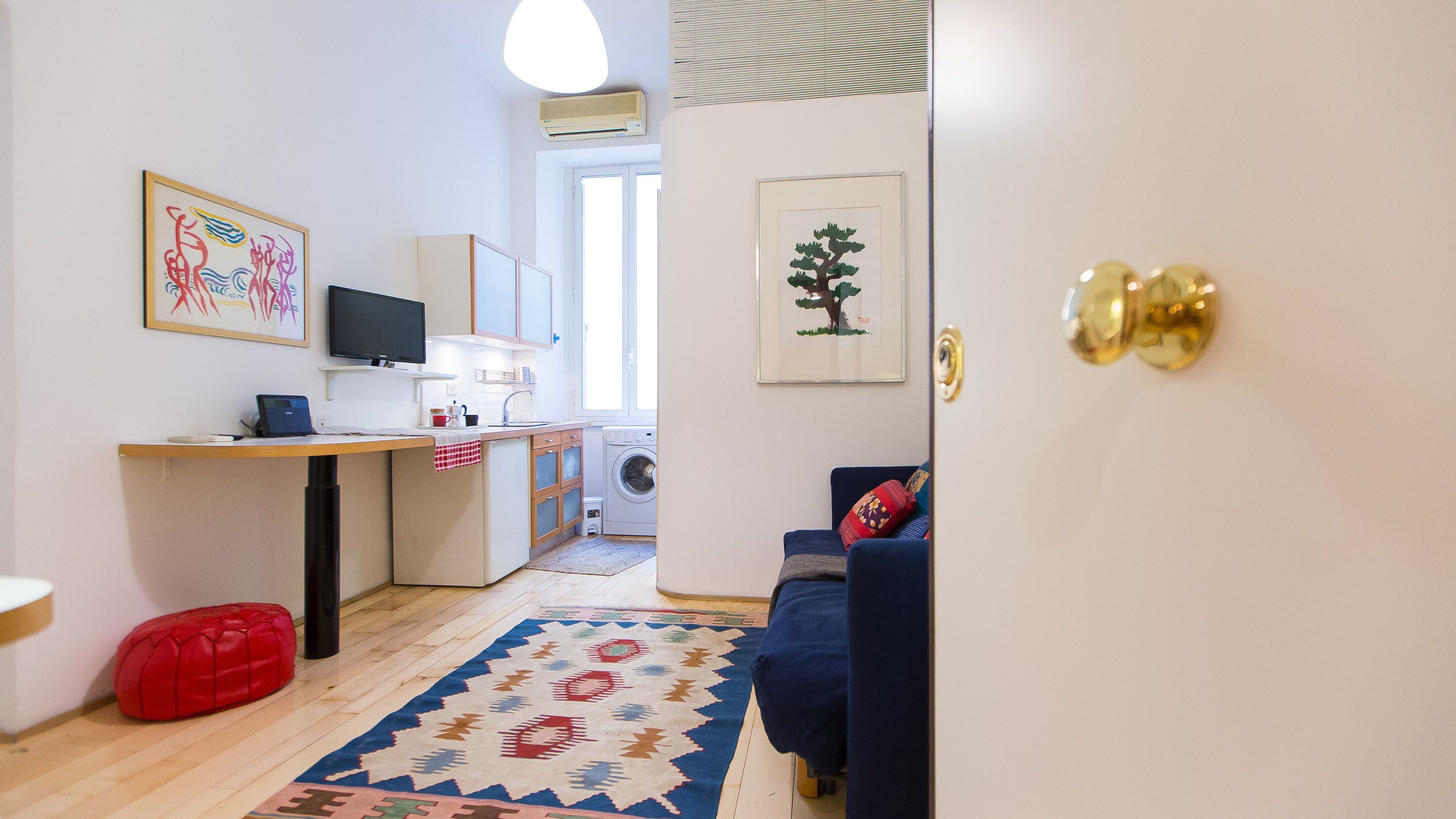 A compact living space with a kitchenette, a washing machine, a sofa, and a rug.