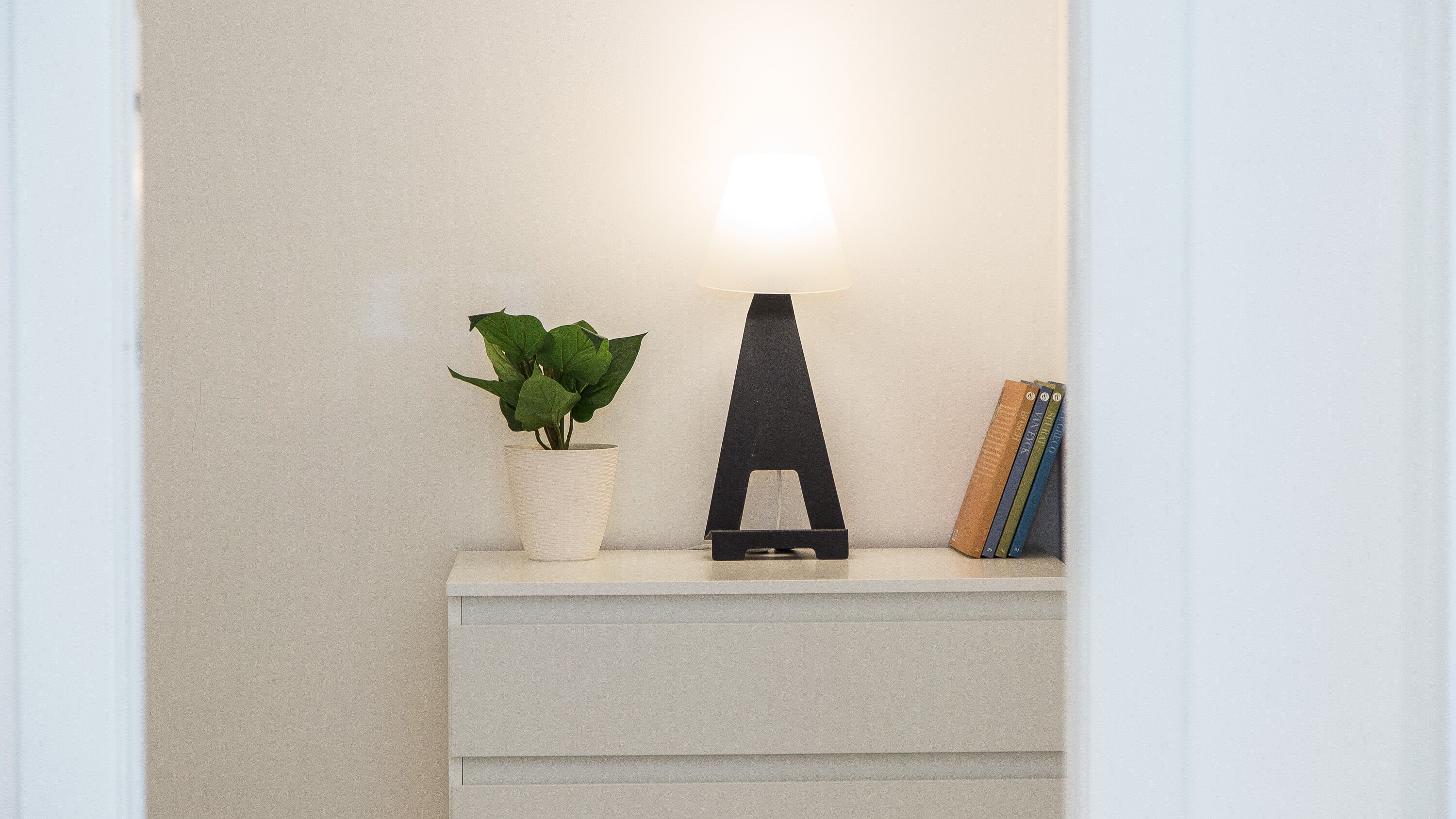 Ein Regal mit einem Blumentopf, einer schwarzen Lampe und einem Stapel Bücher.