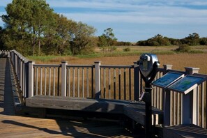 Terrain de l’hébergement 