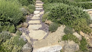 Un edificio de piedra con un camino de piedra que conduce a una zona cubierta.