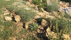 Un edificio de piedra con un porche cubierto y mesas al aire libre.