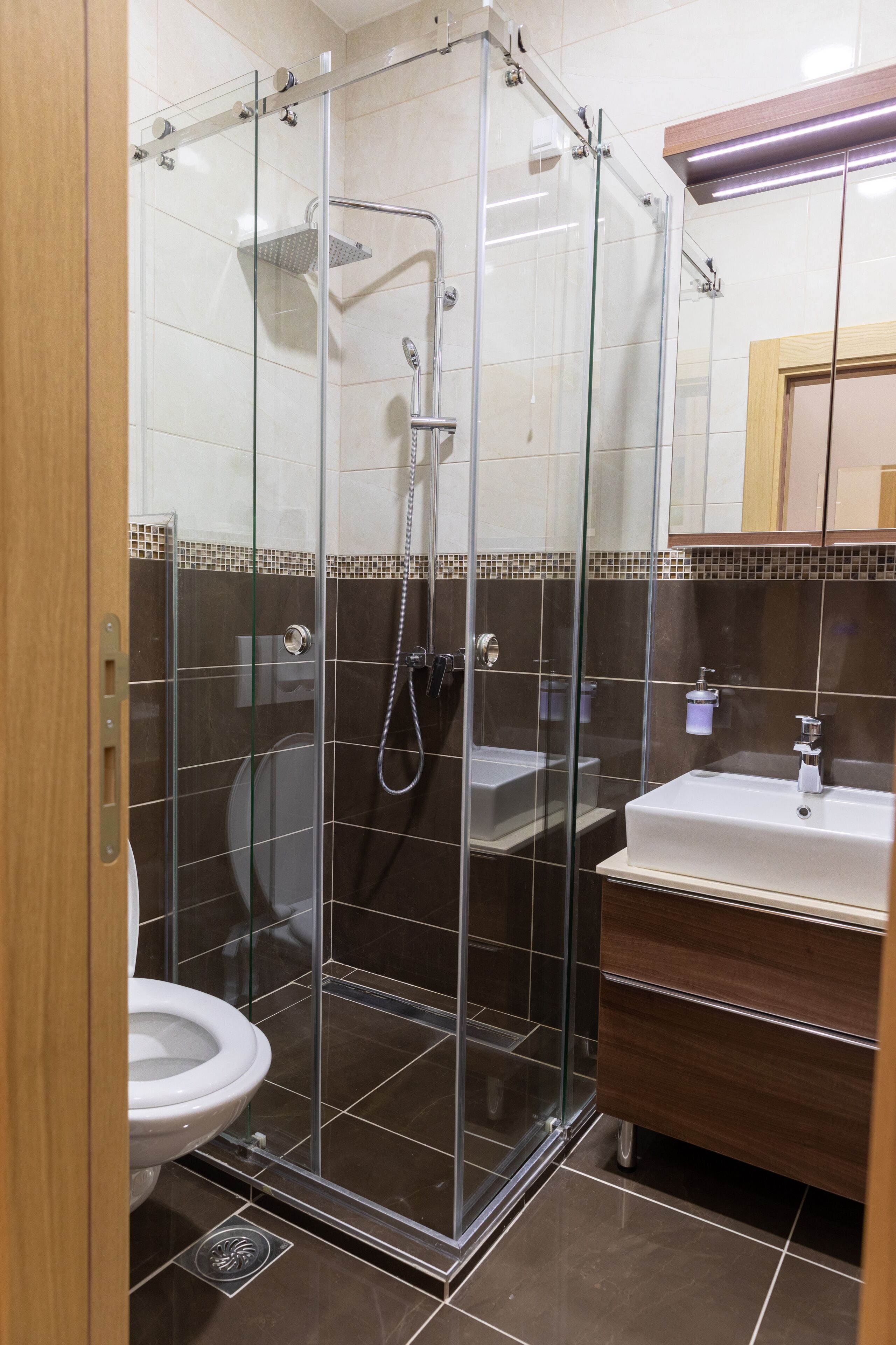 A glass-enclosed shower stall with a handheld showerhead, a white sink with a mirror above it, and a toilet visible through the glass.