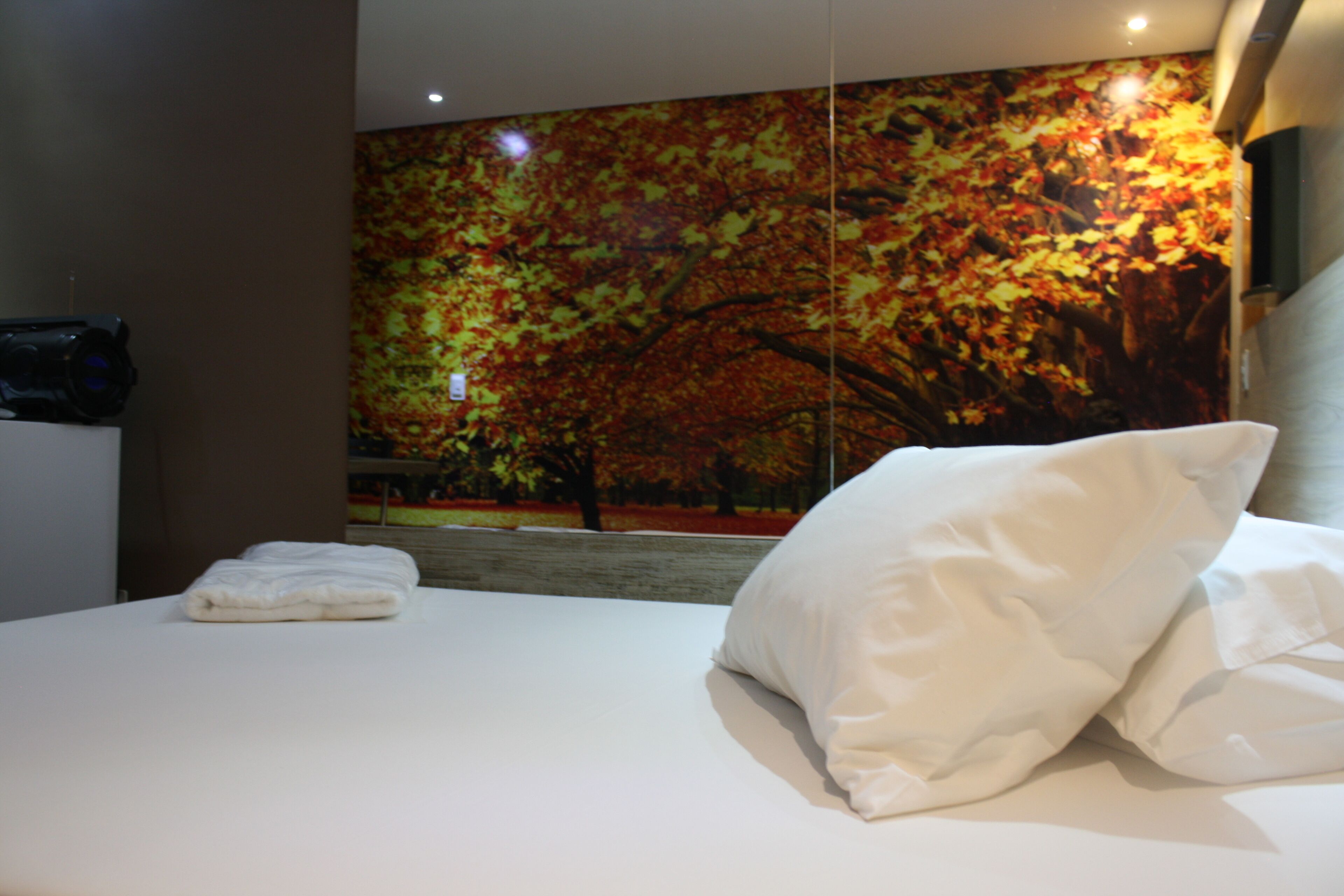 Foto - Motel Fantasy 3