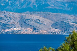 Imagen sin descripción, 4 de 37, botón