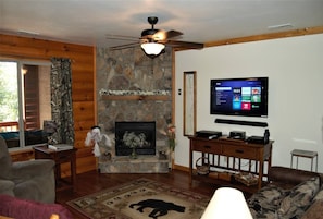 TV, fireplace, DVD player, video library